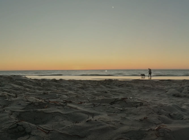 Semaphore beach